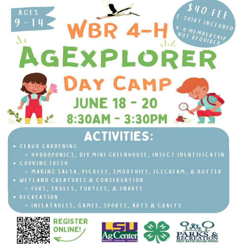 Ag Summer Day Camp 2023