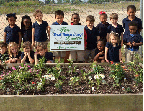 2017 Butterfly Garden