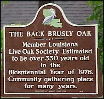 The Back Brusly Oak Historical Marker