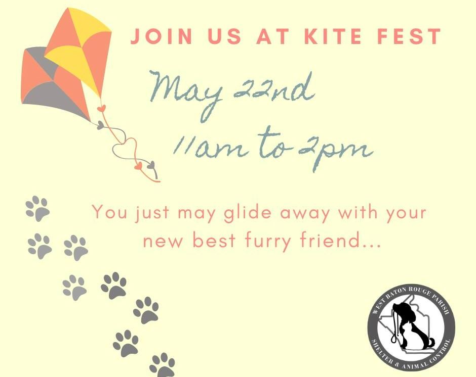 kite fest adoption event kite fest adoption event